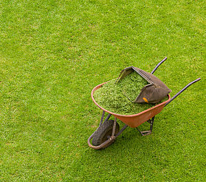 Schubkarre mit Auffangkorb und frisch gemähtem Rasen